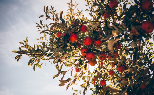 nathan-hulsey-zXQFq-KDNFs-unsplash